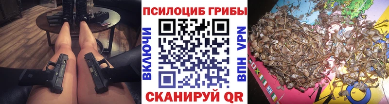 магазин продажи наркотиков  Агрыз  Псилоцибиновые грибы прущие грибы 